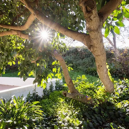 Lightbooking Casa De Campo Ortigal Tenerife Holiday home